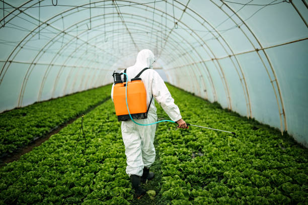 Best Best Pest Control Companies  in Homestead Valley, CA