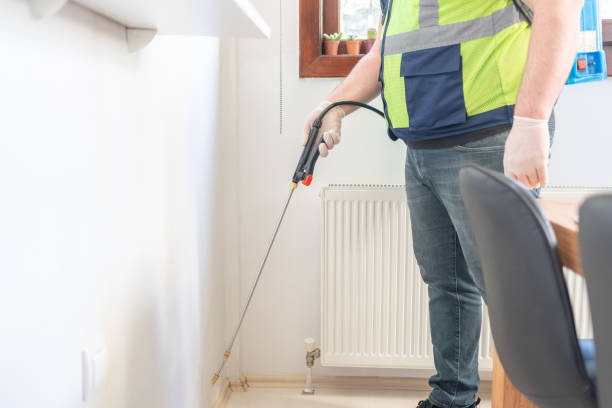 Best Mosquito Control Services  in Homestead Valley, CA
