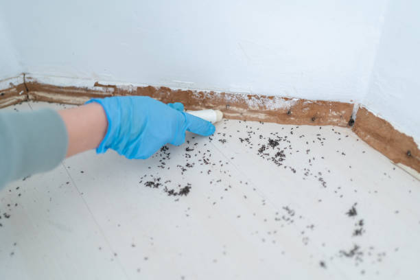 Best Wildlife Control Services  in Homestead Valley, CA